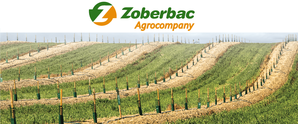 portada2|zoberbac|zoberbac|zoberbac
